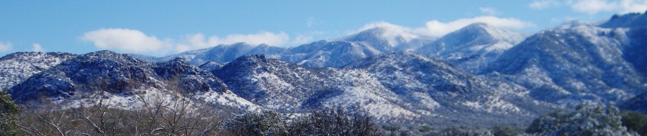cropped-chiricahuas-in-snow-2-21-13.jpg
